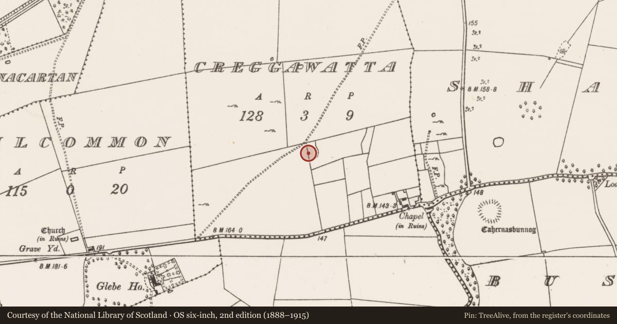 Ordnance Survey six-inch map, 2nd edition (1888–1915) covering the location of Ringfort - cashel, Creggawatta, County Mayo, with a pin at the register's coordinates