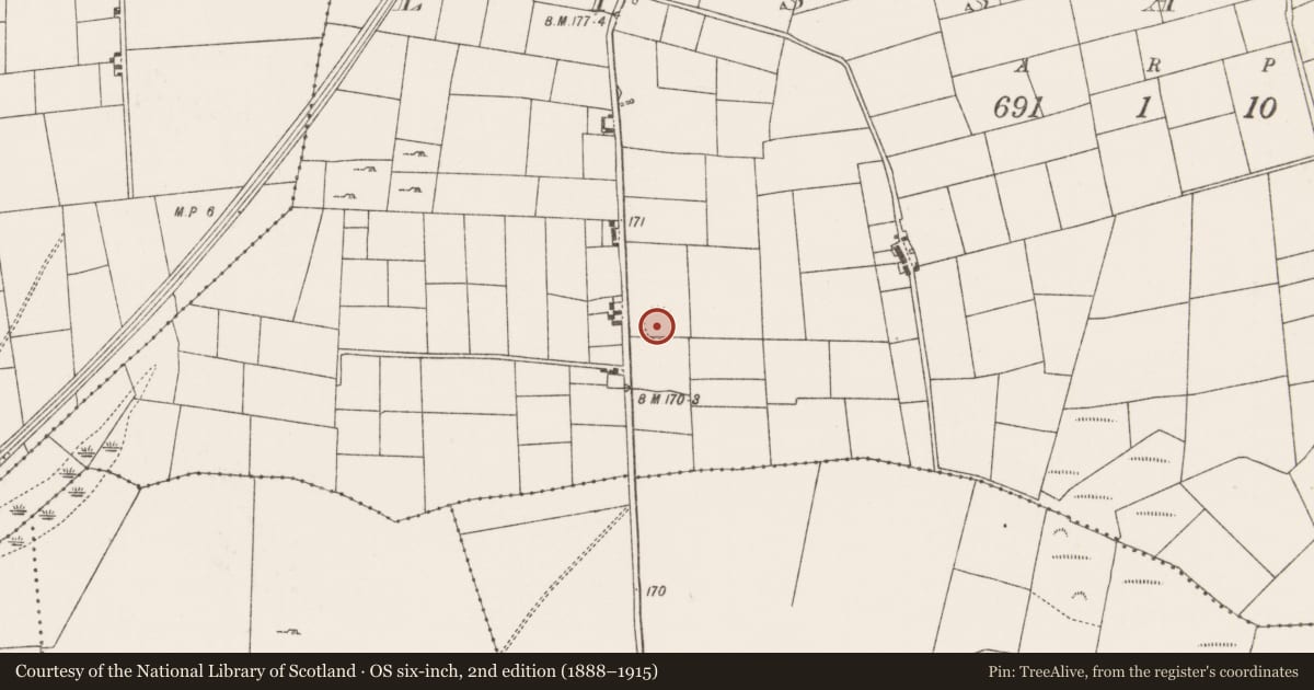 Ordnance Survey six-inch map, 2nd edition (1888–1915) covering the location of Children's burial ground, Lissatava, County Mayo, with a pin at the register's coordinates