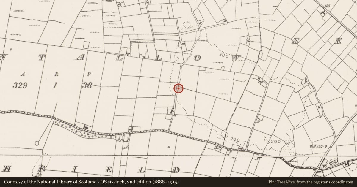 Ordnance Survey six-inch map, 2nd edition (1888–1915) covering the location of Enclosure, Shantallow, County Mayo, with a pin at the register's coordinates
