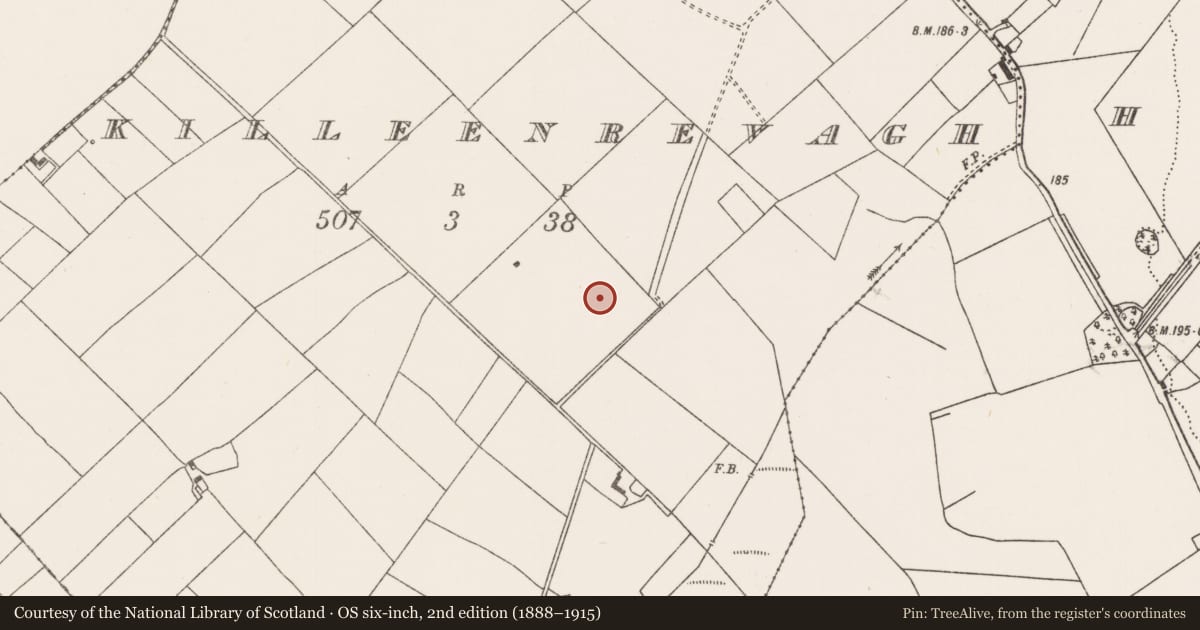 Ordnance Survey six-inch map, 2nd edition (1888–1915) covering the location of Enclosure, Killeenrevagh, County Mayo, with a pin at the register's coordinates