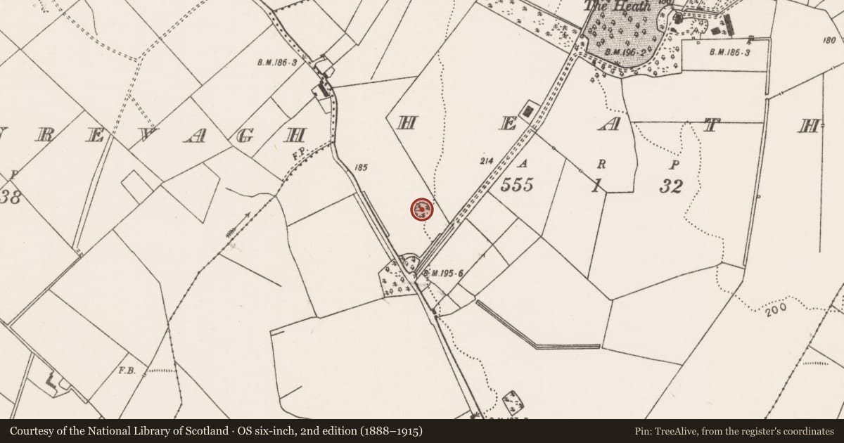 Ordnance Survey six-inch map, 2nd edition (1888–1915) covering the location of Enclosure, Heath, County Mayo, with a pin at the register's coordinates