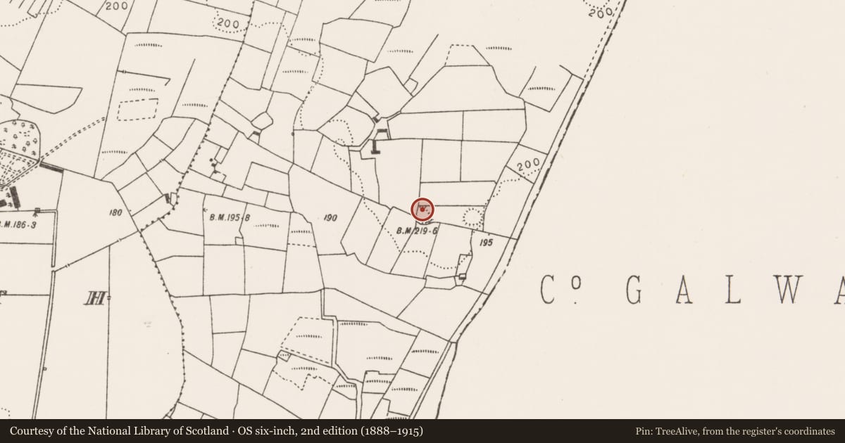 Ordnance Survey six-inch map, 2nd edition (1888–1915) covering the location of Children's burial ground, Ballyglass (Clanmorris By., Crossboyne Par.), County Mayo, with a pin at the register's coordinates