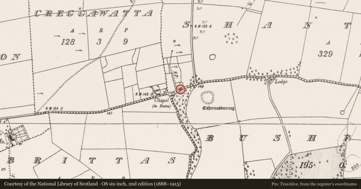 Ordnance Survey six-inch map, 2nd edition (1888–1915) covering the location of Church, Shantallow, County Mayo, with a pin at the register's coordinates