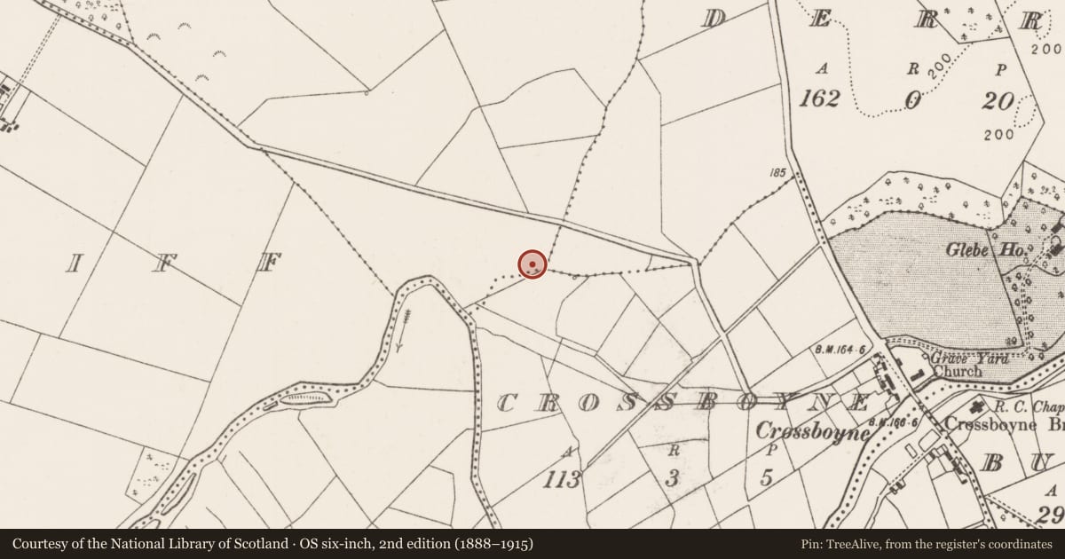 Ordnance Survey six-inch map, 2nd edition (1888–1915) covering the location of Fulacht fia, Coolroe, County Mayo, with a pin at the register's coordinates