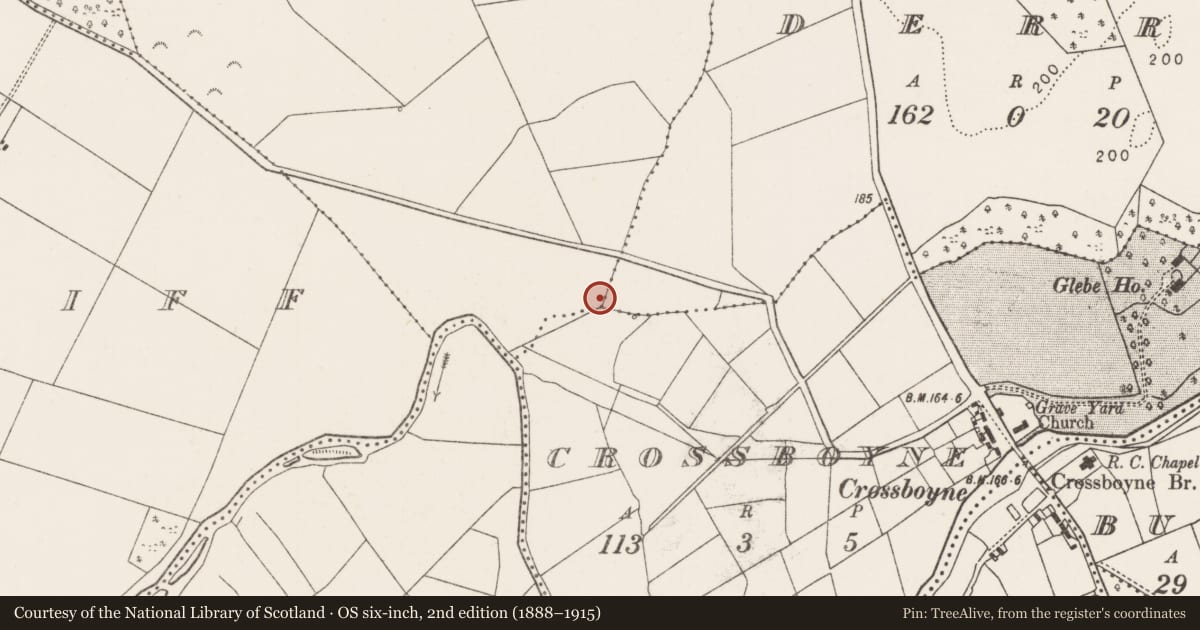 Ordnance Survey six-inch map, 2nd edition (1888–1915) covering the location of Fulacht fia, Coolroe, County Mayo, with a pin at the register's coordinates