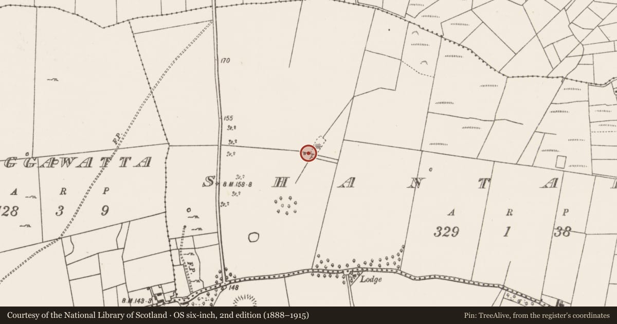 Ordnance Survey six-inch map, 2nd edition (1888–1915) covering the location of Burnt mound, Shantallow, County Mayo, with a pin at the register's coordinates