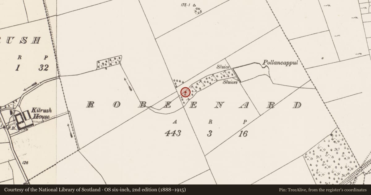 Ordnance Survey six-inch map, 2nd edition (1888–1915) covering the location of Burnt mound, Robeenard, County Mayo, with a pin at the register's coordinates
