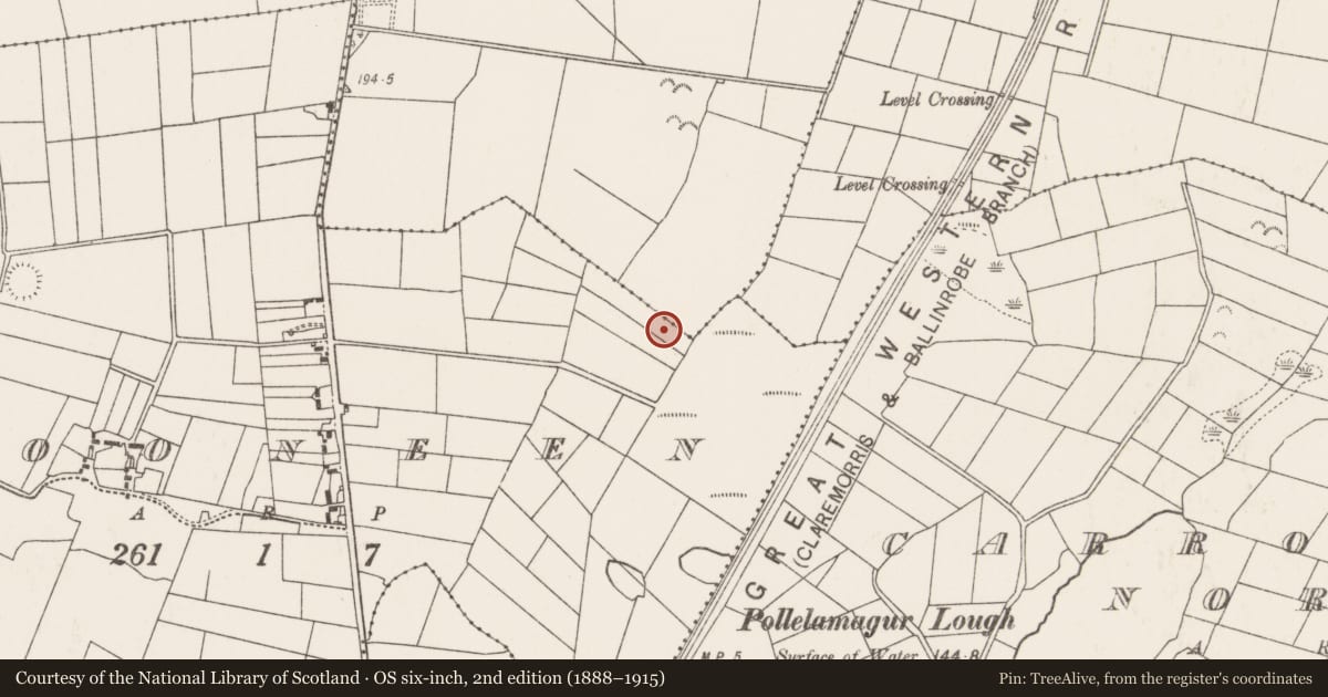 Ordnance Survey six-inch map, 2nd edition (1888–1915) covering the location of Fulacht fia, Clooneen, County Mayo, with a pin at the register's coordinates