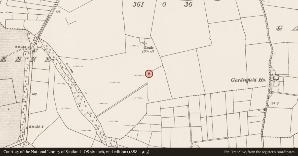 Ordnance Survey six-inch map, 2nd edition (1888–1915) covering the location of Burnt mound, Knockalegan, County Mayo, with a pin at the register's coordinates