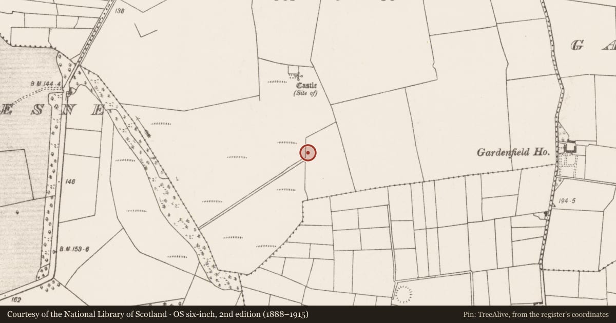Ordnance Survey six-inch map, 2nd edition (1888–1915) covering the location of Fulacht fia, Knockalegan, County Mayo, with a pin at the register's coordinates