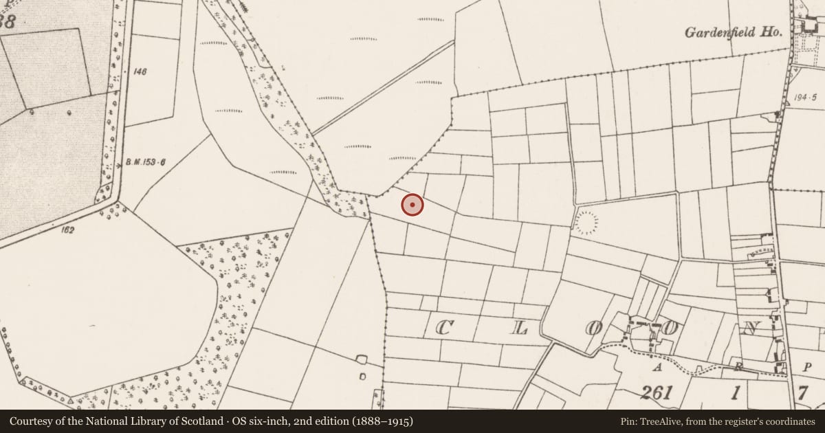Ordnance Survey six-inch map, 2nd edition (1888–1915) covering the location of Cist, Clooneen, County Mayo, with a pin at the register's coordinates