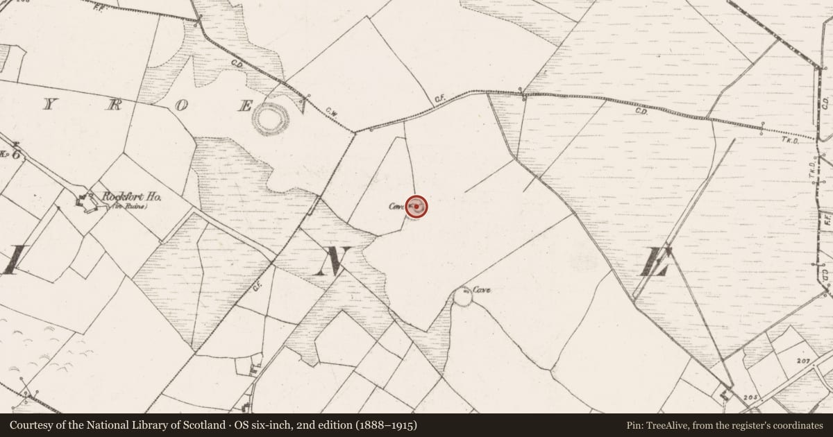 Ordnance Survey six-inch map, 2nd edition (1888–1915) covering the location of Enclosure, Kilvine, County Mayo, with a pin at the register's coordinates