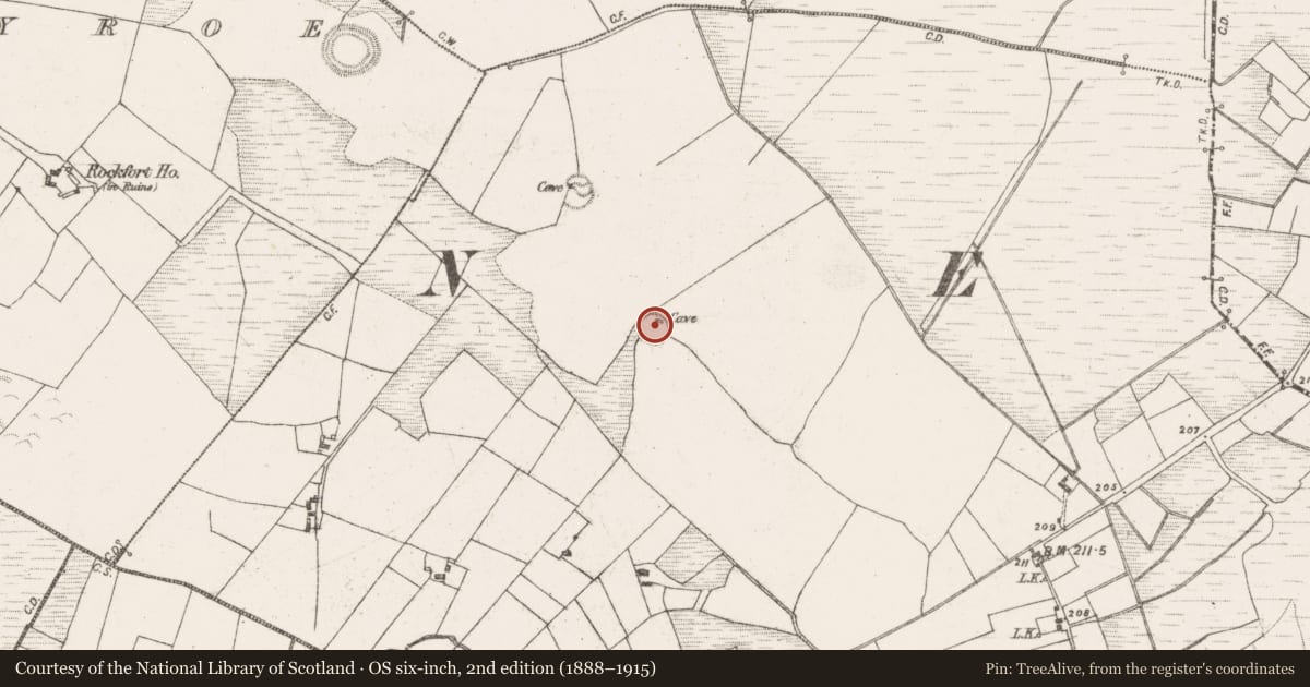 Ordnance Survey six-inch map, 2nd edition (1888–1915) covering the location of Enclosure, Kilvine, County Mayo, with a pin at the register's coordinates