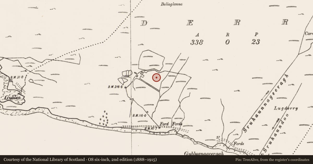 Ordnance Survey six-inch map, 2nd edition (1888–1915) covering the location of Settlement cluster, Derry, County Mayo, with a pin at the register's coordinates