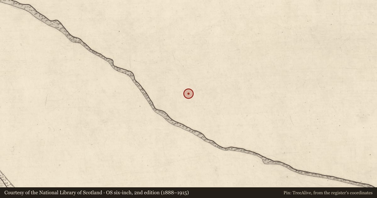 Ordnance Survey six-inch map, 2nd edition (1888–1915) covering the location of Settlement cluster, Derreennawinshin, County Mayo, with a pin at the register's coordinates