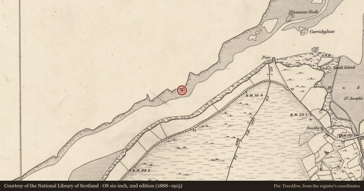 Ordnance Survey six-inch map, 2nd edition (1888–1915) covering the location of Children's burial ground, Letterass, County Mayo, with a pin at the register's coordinates