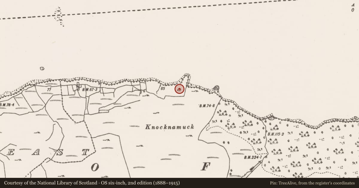 Ordnance Survey six-inch map, 2nd edition (1888–1915) covering the location of Enclosure, Cill Bhríde, County Mayo, with a pin at the register's coordinates