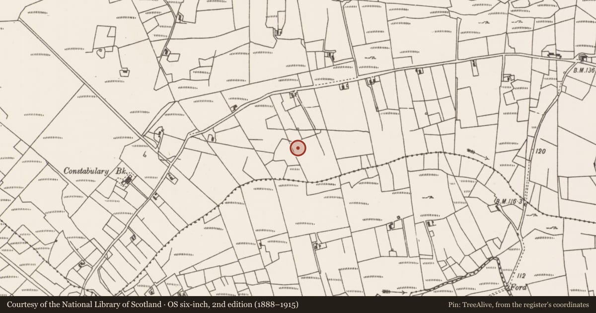 Ordnance Survey six-inch map, 2nd edition (1888–1915) covering the location of Megalithic tomb - wedge tomb, Ceapaigh Na Creiche, County Mayo, with a pin at the register's coordinates