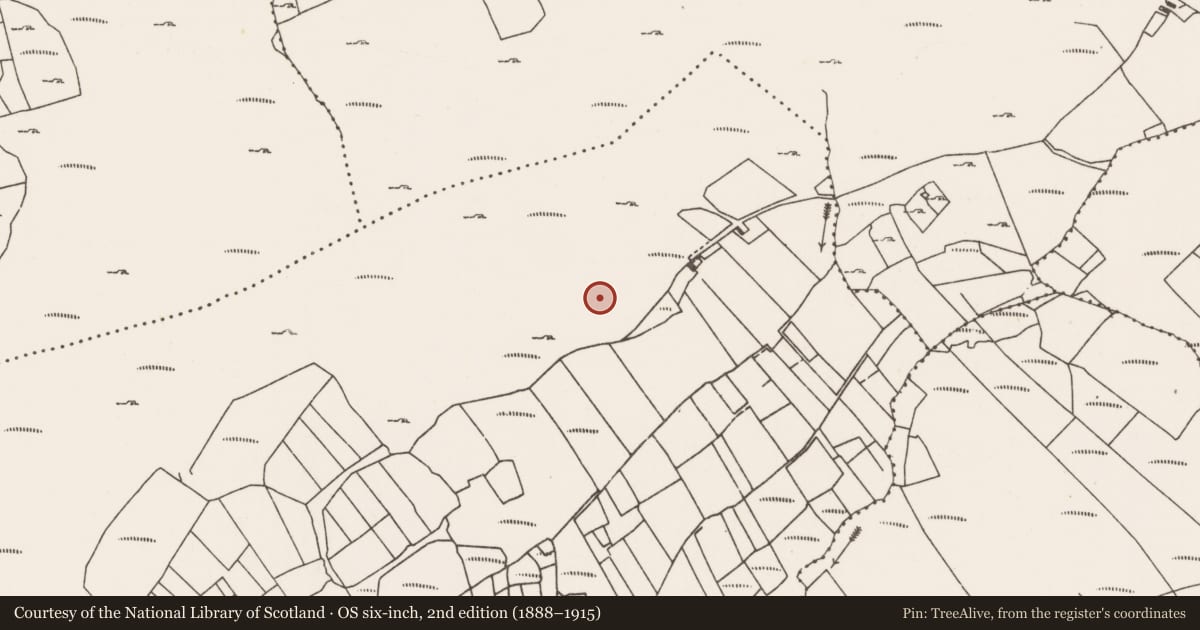 Ordnance Survey six-inch map, 2nd edition (1888–1915) covering the location of Stone row, Lettereeneen, County Mayo, with a pin at the register's coordinates