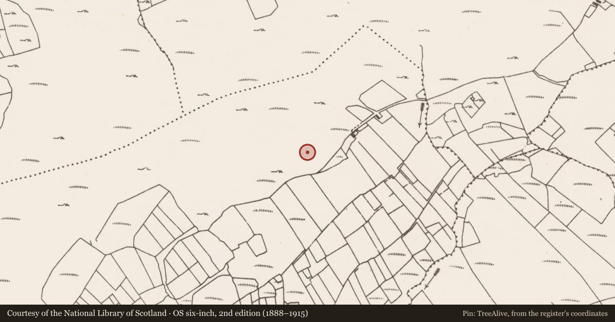 Ordnance Survey six-inch map, 2nd edition (1888–1915) covering the location of Barrow - ring-barrow, Lettereeneen, County Mayo, with a pin at the register's coordinates