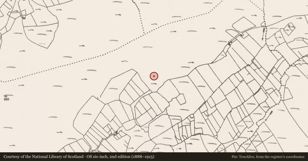 Ordnance Survey six-inch map, 2nd edition (1888–1915) covering the location of Stone row, Lettereeneen, County Mayo, with a pin at the register's coordinates