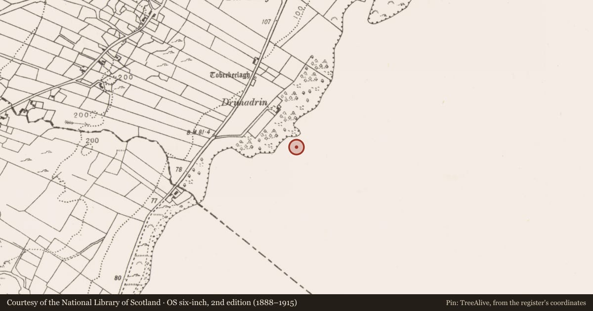 Ordnance Survey six-inch map, 2nd edition (1888–1915) covering the location of Crannog, Lough Mask, County Mayo, with a pin at the register's coordinates