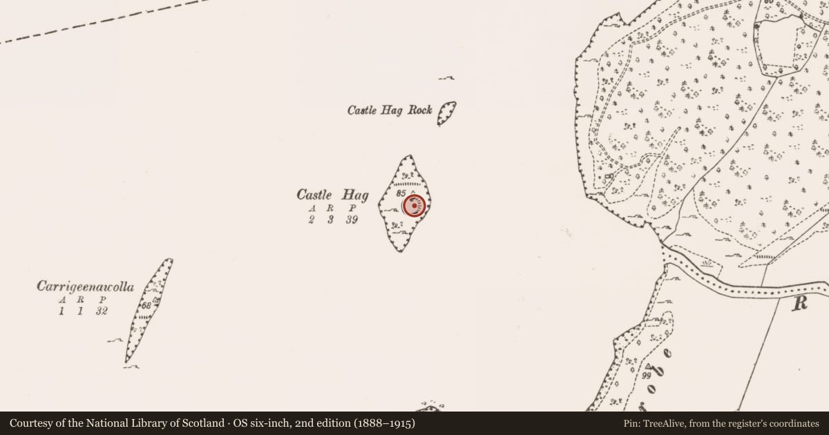 Ordnance Survey six-inch map, 2nd edition (1888–1915) covering the location of Fortification, Lough Mask, County Mayo, with a pin at the register's coordinates