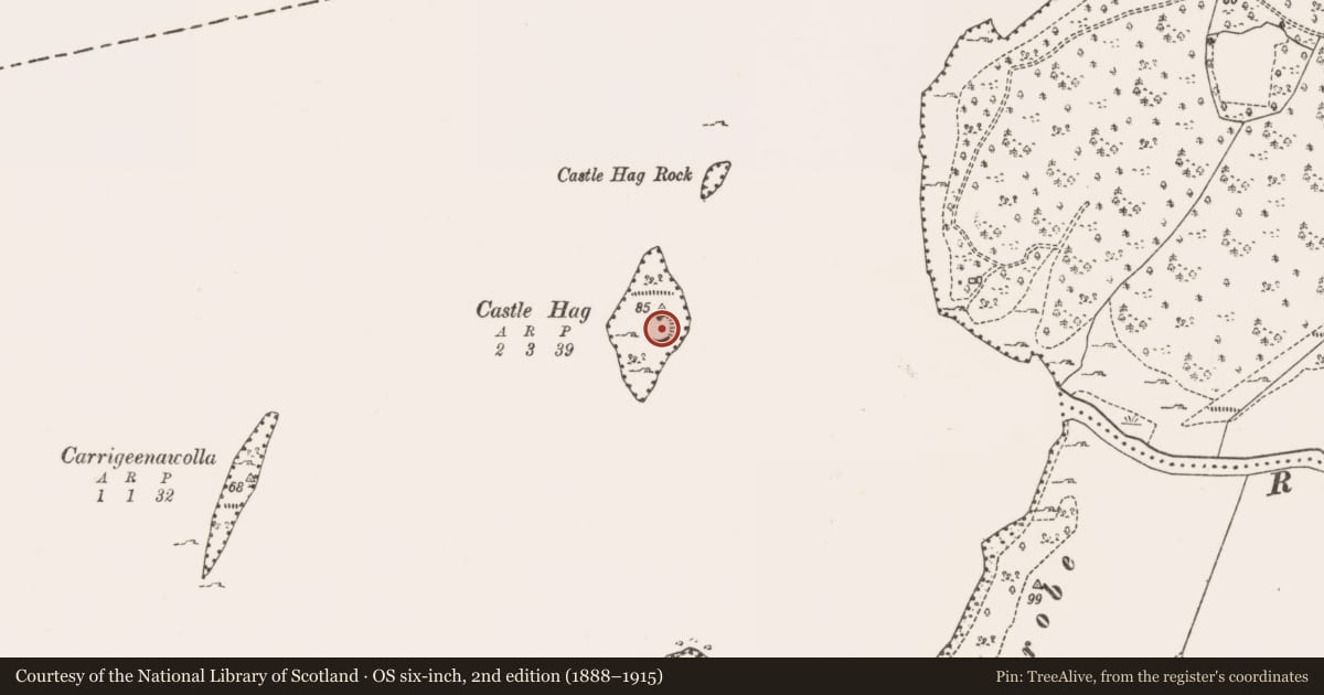 Ordnance Survey six-inch map, 2nd edition (1888–1915) covering the location of Building, Lough Mask, County Mayo, with a pin at the register's coordinates