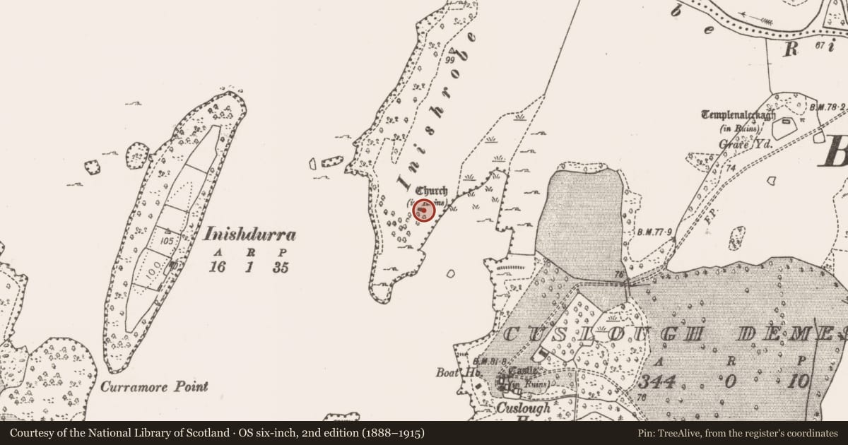 Ordnance Survey six-inch map, 2nd edition (1888–1915) covering the location of Enclosure, Cuslough Demesne, County Mayo, with a pin at the register's coordinates