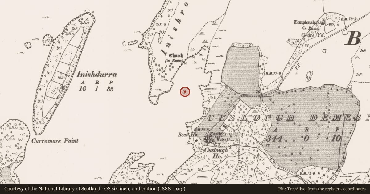 Ordnance Survey six-inch map, 2nd edition (1888–1915) covering the location of Crannog, Lough Mask, County Mayo, with a pin at the register's coordinates