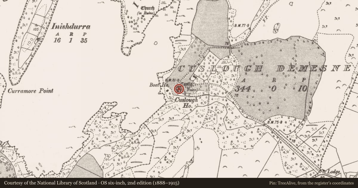 Ordnance Survey six-inch map, 2nd edition (1888–1915) covering the location of Castle - unclassified, Cuslough Demesne, County Mayo, with a pin at the register's coordinates
