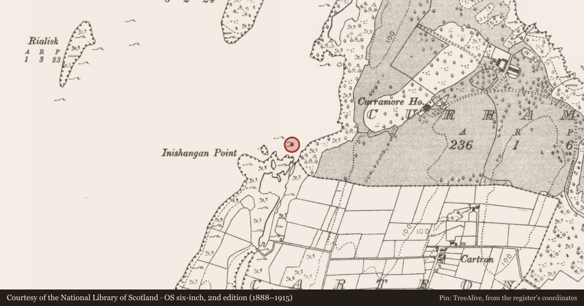 Ordnance Survey six-inch map, 2nd edition (1888–1915) covering the location of Crannog, Lough Mask, County Mayo, with a pin at the register's coordinates