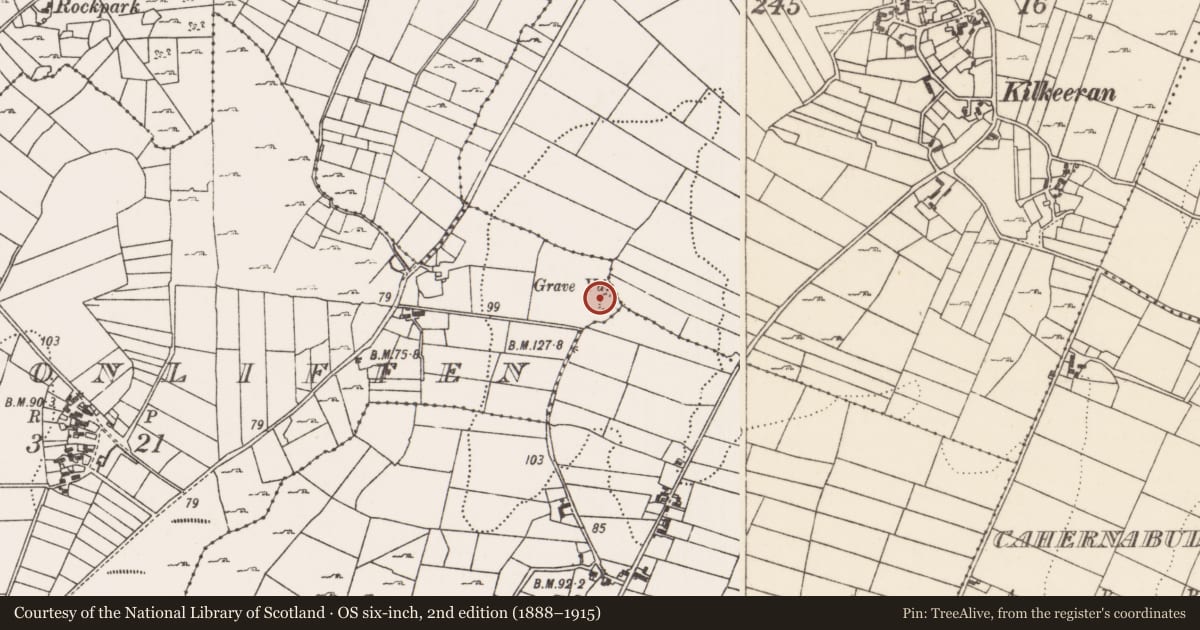 Ordnance Survey six-inch map, 2nd edition (1888–1915) covering the location of Enclosure, Cloonliffen, County Mayo, with a pin at the register's coordinates