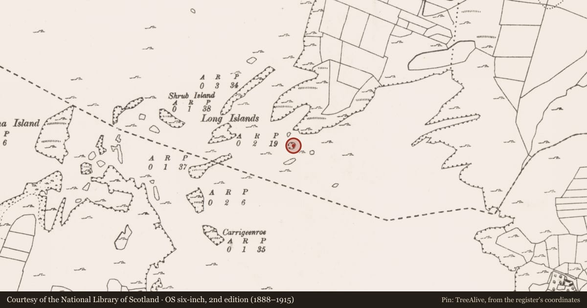 Ordnance Survey six-inch map, 2nd edition (1888–1915) covering the location of Crannog, Lough Mask, County Mayo, with a pin at the register's coordinates