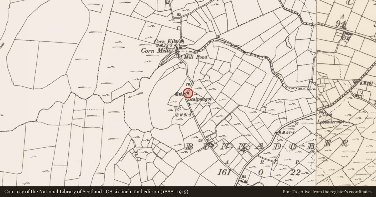 Ordnance Survey six-inch map, 2nd edition (1888–1915) covering the location of Souterrain, Bunnadober, County Mayo, with a pin at the register's coordinates