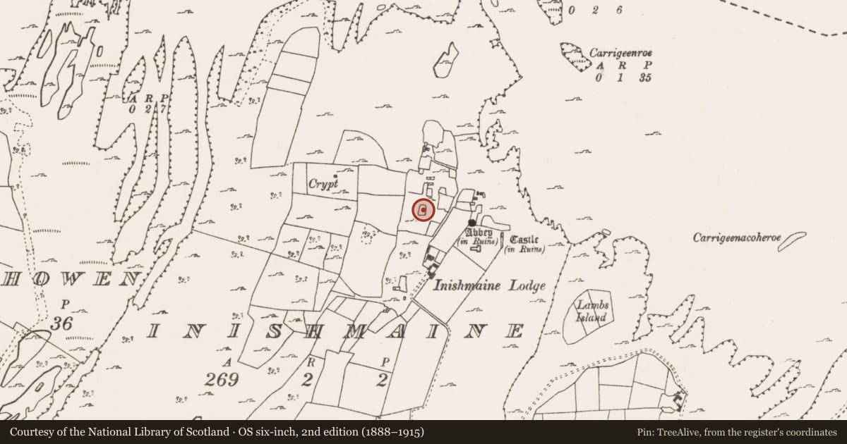 Ordnance Survey six-inch map, 2nd edition (1888–1915) covering the location of Enclosure, Inishmaine, County Mayo, with a pin at the register's coordinates