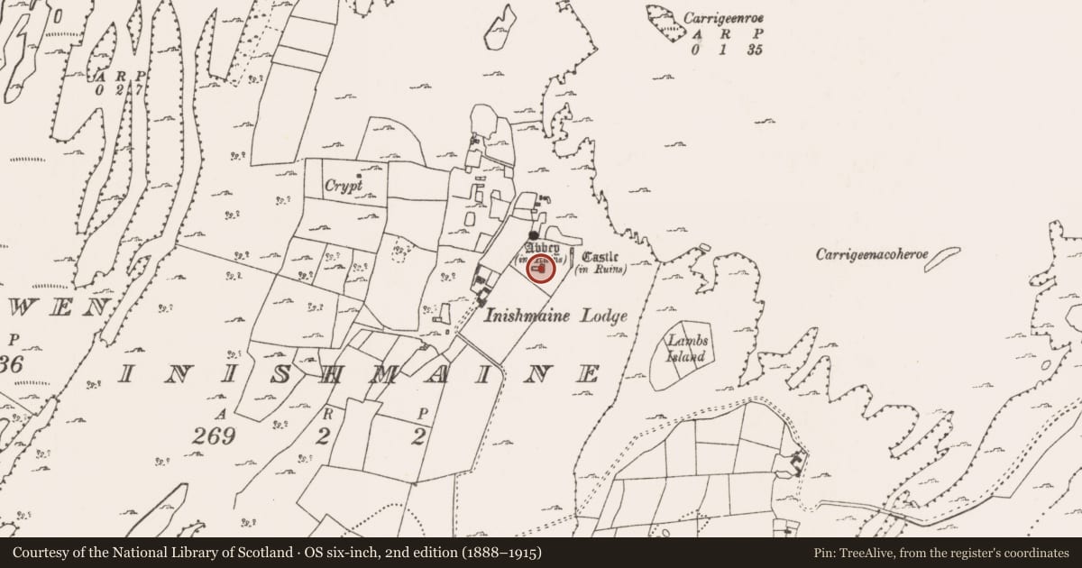 Ordnance Survey six-inch map, 2nd edition (1888–1915) covering the location of Church, Inishmaine, County Mayo, with a pin at the register's coordinates