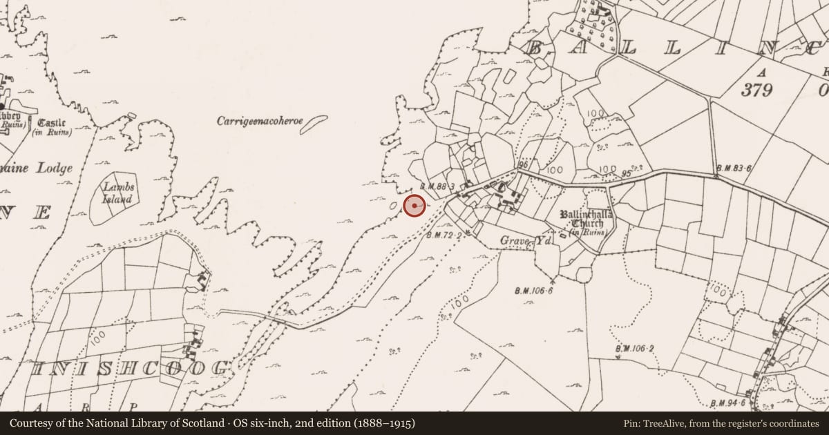 Ordnance Survey six-inch map, 2nd edition (1888–1915) covering the location of Enclosure, Ballinchalla, County Mayo, with a pin at the register's coordinates