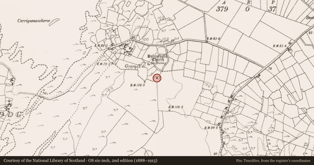 Ordnance Survey six-inch map, 2nd edition (1888–1915) covering the location of Ringfort - cashel, Ballinchalla, County Mayo, with a pin at the register's coordinates