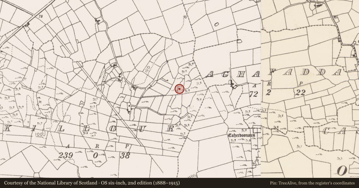 Ordnance Survey six-inch map, 2nd edition (1888–1915) covering the location of Church, Killour, County Mayo, with a pin at the register's coordinates
