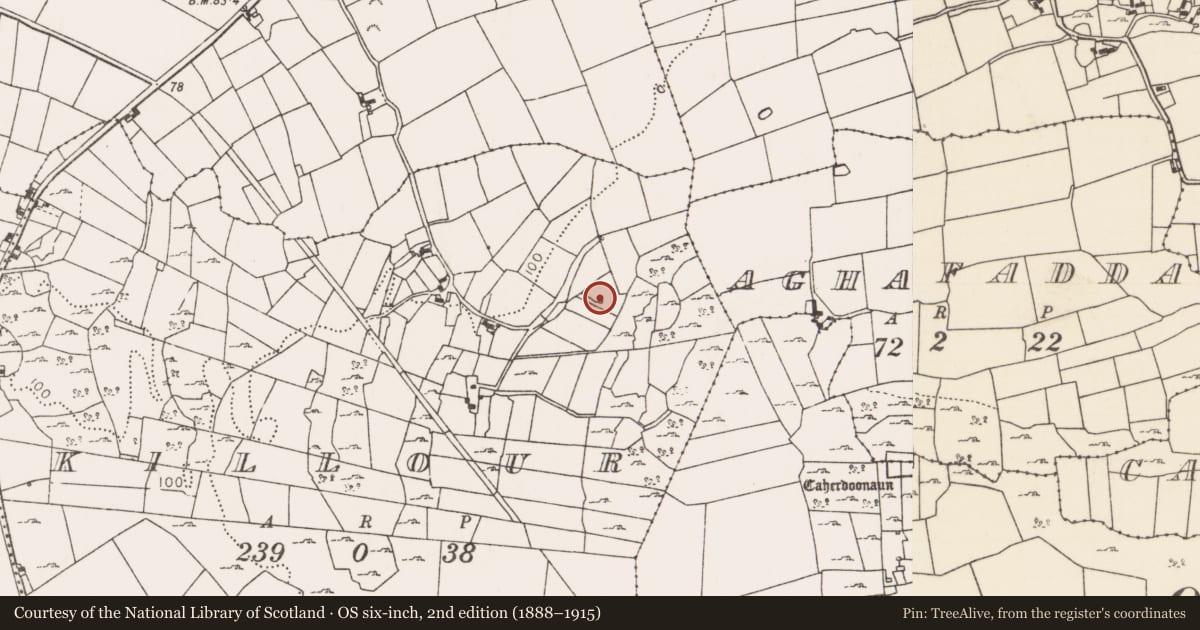 Ordnance Survey six-inch map, 2nd edition (1888–1915) covering the location of Ritual site - holy well, Killour, County Mayo, with a pin at the register's coordinates