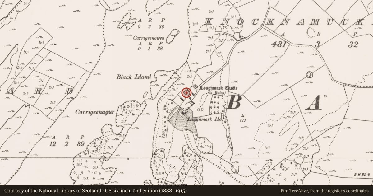 Ordnance Survey six-inch map, 2nd edition (1888–1915) covering the location of Castle - tower house, Knocknamucklagh, County Mayo, with a pin at the register's coordinates