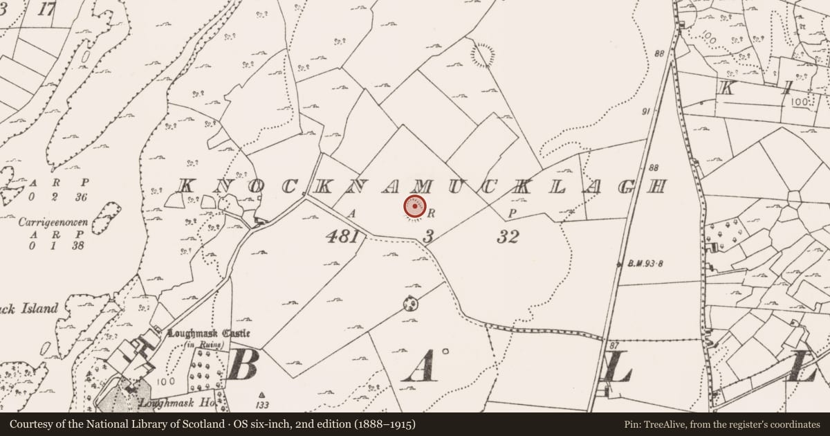 Ordnance Survey six-inch map, 2nd edition (1888–1915) covering the location of Ringfort - rath, Knocknamucklagh, County Mayo, with a pin at the register's coordinates
