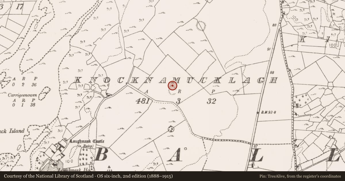 Ordnance Survey six-inch map, 2nd edition (1888–1915) covering the location of Souterrain, Knocknamucklagh, County Mayo, with a pin at the register's coordinates