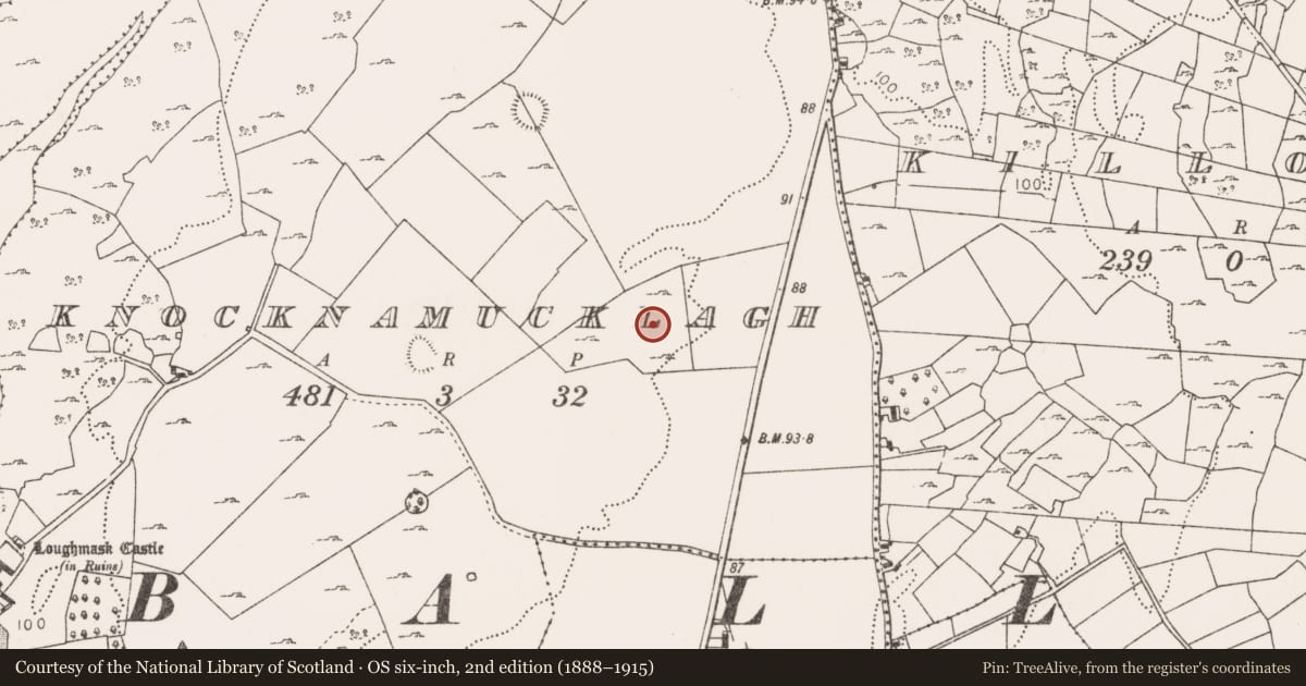 Ordnance Survey six-inch map, 2nd edition (1888–1915) covering the location of Enclosure, Knocknamucklagh, County Mayo, with a pin at the register's coordinates