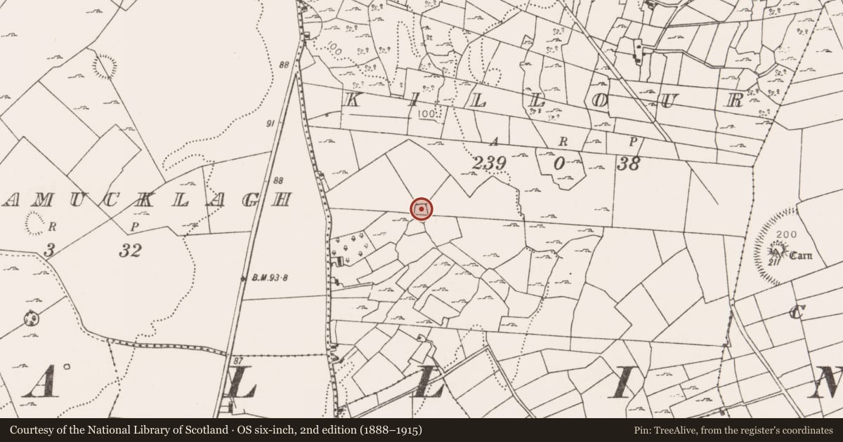 Ordnance Survey six-inch map, 2nd edition (1888–1915) covering the location of Enclosure, Killour, County Mayo, with a pin at the register's coordinates