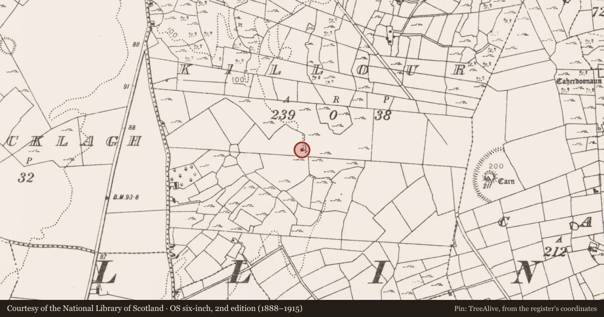 Ordnance Survey six-inch map, 2nd edition (1888–1915) covering the location of Souterrain, Killour, County Mayo, with a pin at the register's coordinates