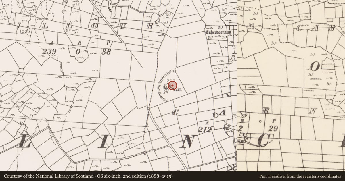 Ordnance Survey six-inch map, 2nd edition (1888–1915) covering the location of Enclosure, Carn (Kilmaine By., Ballinchalla Par.), County Mayo, with a pin at the register's coordinates