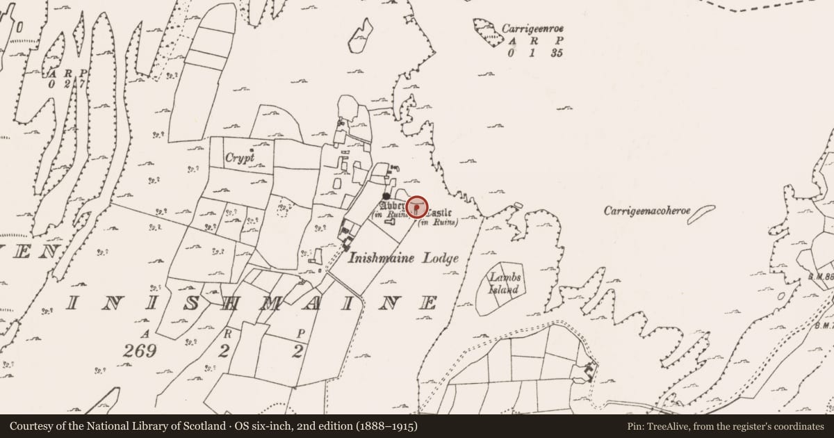Ordnance Survey six-inch map, 2nd edition (1888–1915) covering the location of Castle - unclassified, Inishmaine, County Mayo, with a pin at the register's coordinates