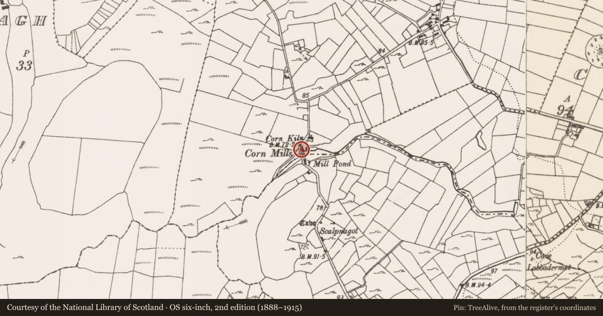 Ordnance Survey six-inch map, 2nd edition (1888–1915) covering the location of Mill - corn, County Mayo, with a pin at the register's coordinates